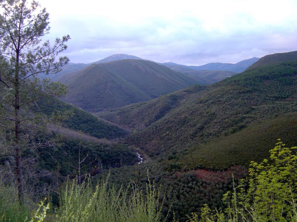 Alojamientos La Herrera San Esteban de la Sierra Δωμάτιο φωτογραφία